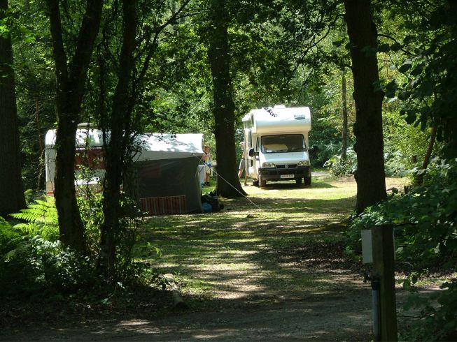 Wellington Country Park 11163