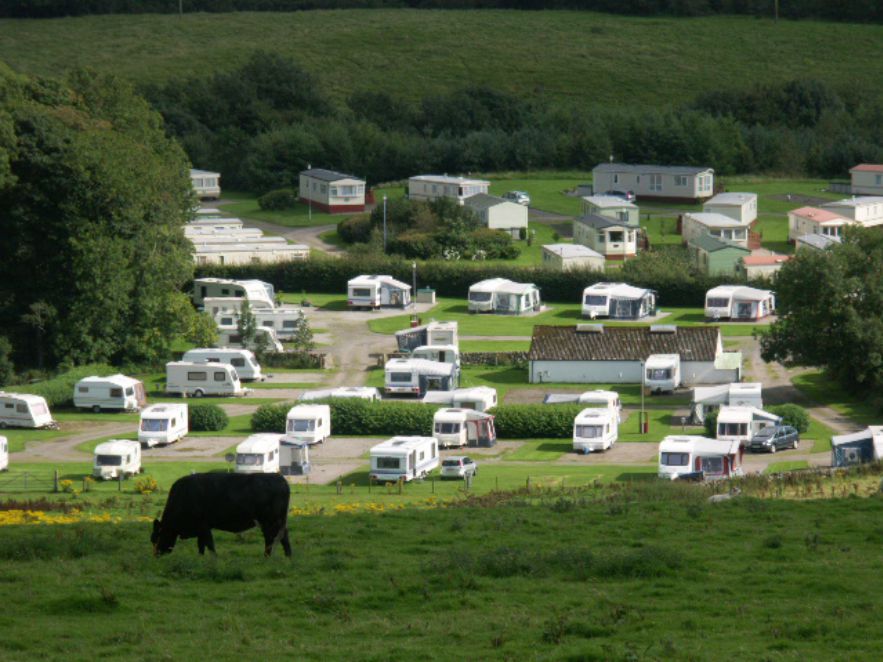 Glenearly Caravan Park 11165