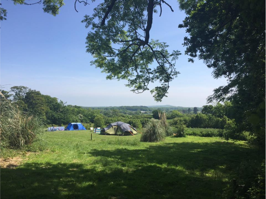 Roebeck Country Park 11168