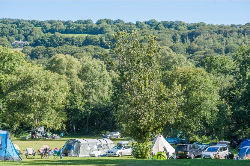 River Dart Country Park 11189