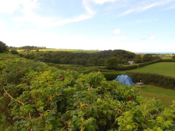 Gwaun Vale Caravan Park 11222