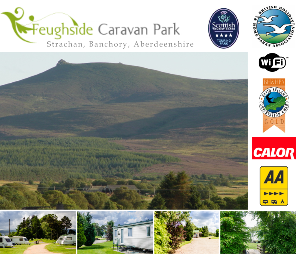 Feughside Caravan Park 11250