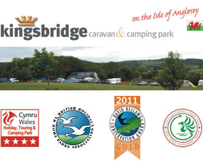Kingsbridge Caravan & Camping Park 11512