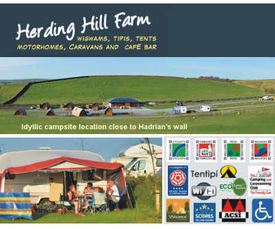 Herding Hill Farm Touring & Camping 11561