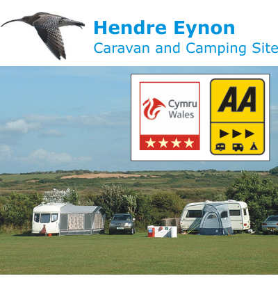 Hendre Eynon Caravan and Camping Site 11563