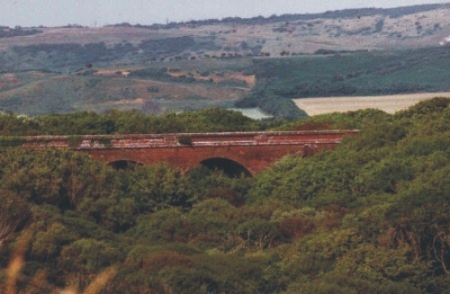 Grange Farm Brighstone Bay 11598