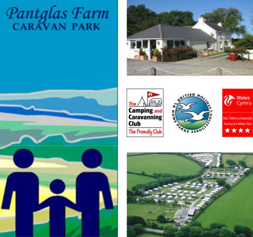 Pantglas Farm Caravan Park 11700