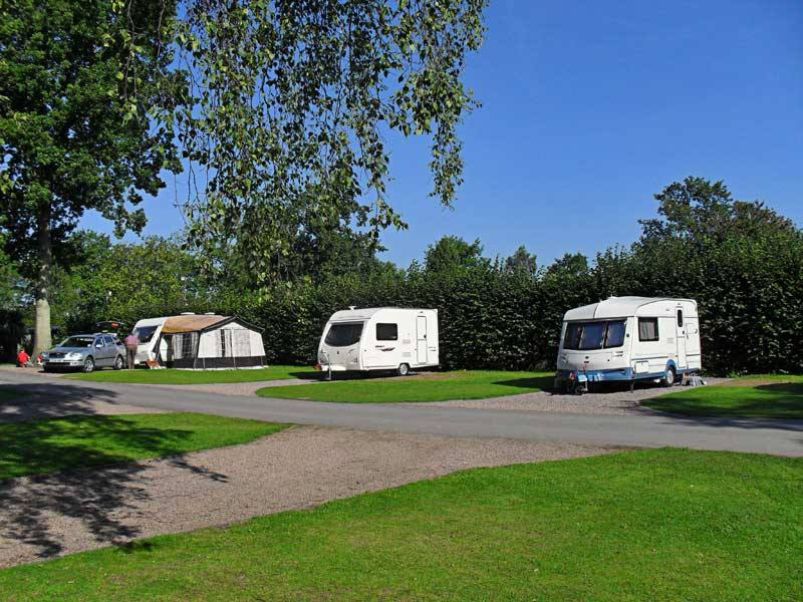 Castle Brake Holiday Park 11751