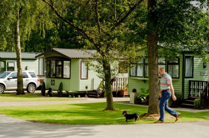 Castle Brake Holiday Park 11753