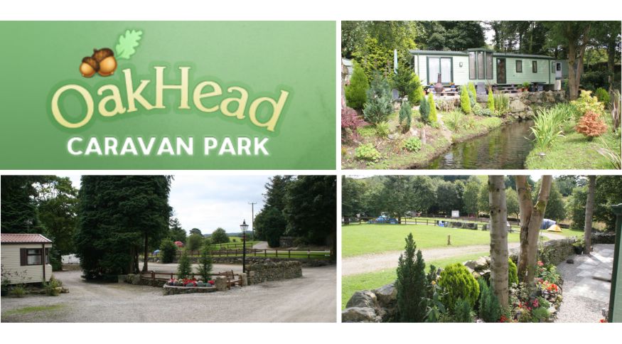 Oak Head Caravan Park 11762