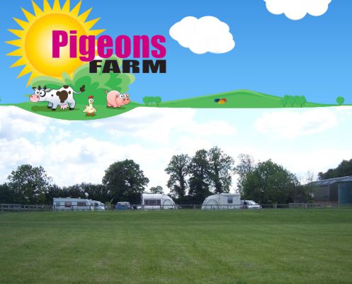 Piccadilly Caravan Park 11844