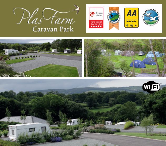 Plas Farm Caravan Park 11855