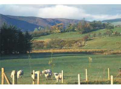 Mid Wales Bunkhouse, Tipi and Camping 1190