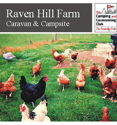 Raven Hill Farm 11909