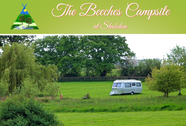 The Beeches Camp Site 1195