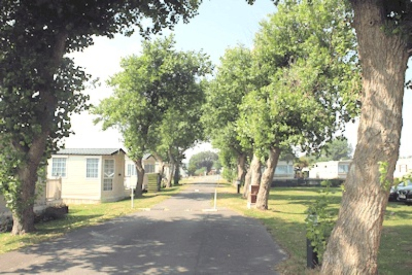 Romney Farm Caravan & Camp Site 11974