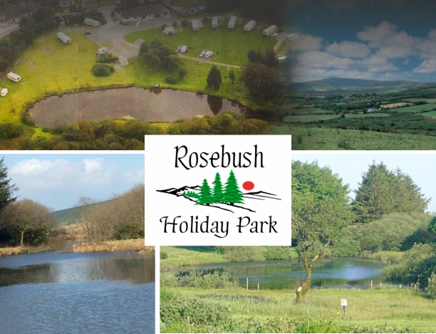 Rosebush Holiday Park 11982