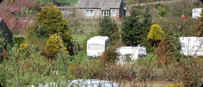 Seven Acres Caravan Park 12079