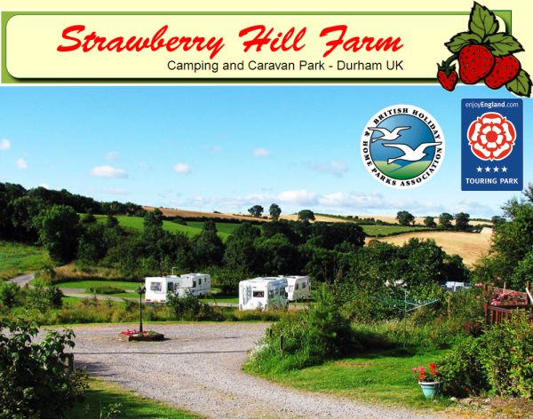Strawberry Hill Farm Caravan & Camping Park 12234