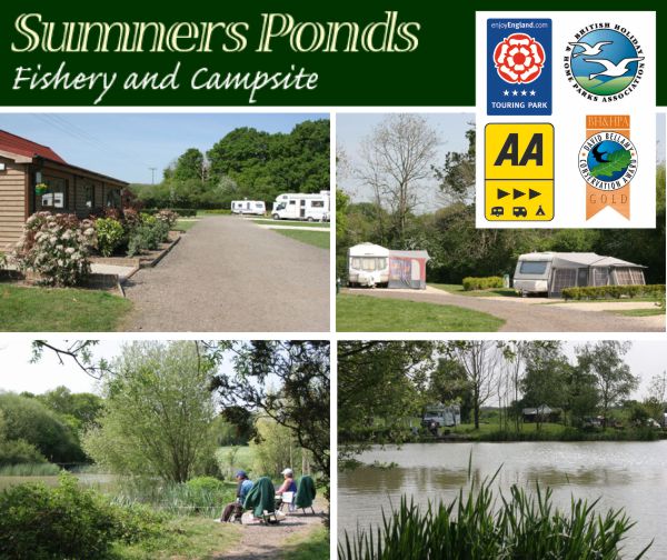 Sumners Ponds Campsite & Fishery 12239