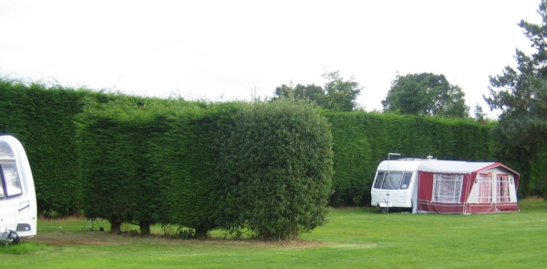 Swallow Hall Caravan Park 12256