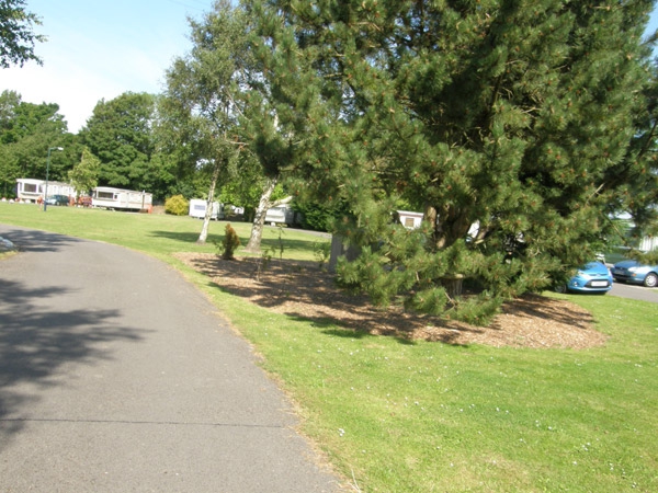 Tanglewood Caravan Park 12276