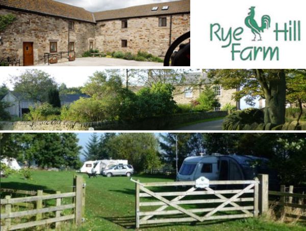 Rye Hill Farm Campsite