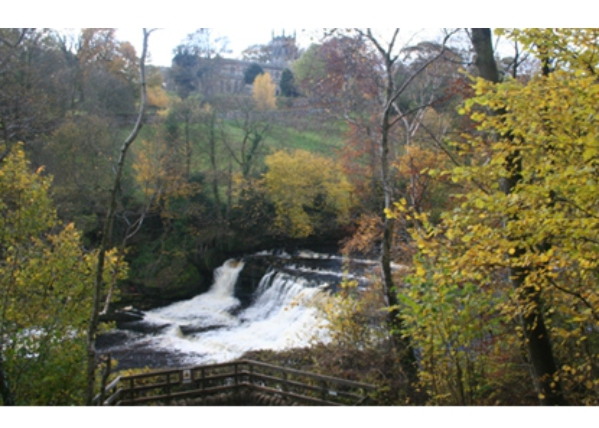 The Falls at Aysgarth Falls 12310