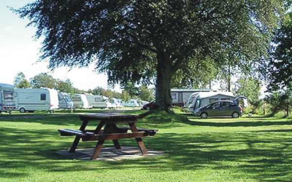 Drumshademuir Caravan Park 1234