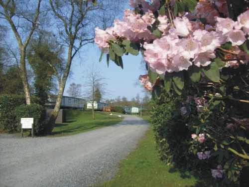 Drumlochart Caravan Park