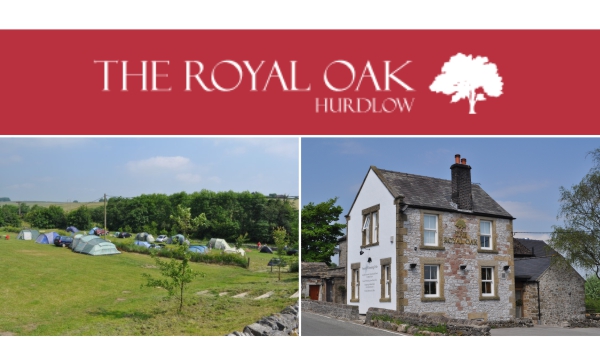 The Royal Oak 12360