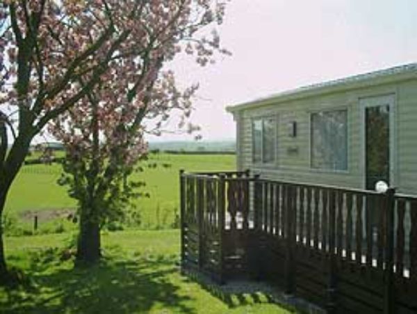 The Trees Holiday Home Park 12379