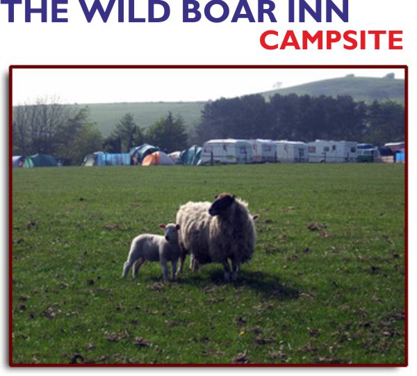 The Wild Boar Inn Campsite 12391