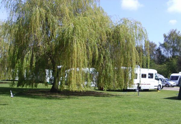 The Willows Caravan Park 12398