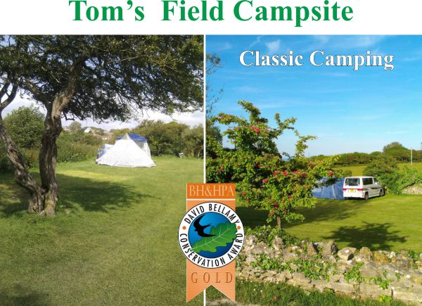 Tom's Field Campsite 12416