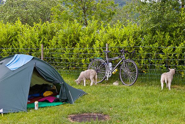 Torrent Walk Campsite 12424