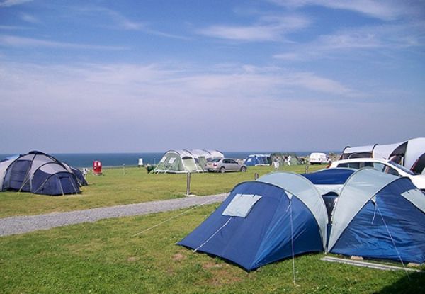 Trawsdir Touring Caravans & Camping Park 12442