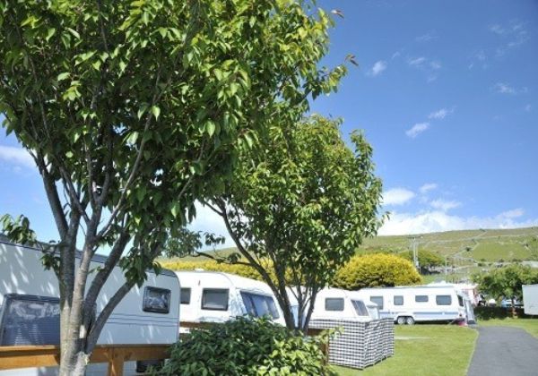 Trawsdir Touring Caravans & Camping Park 12444