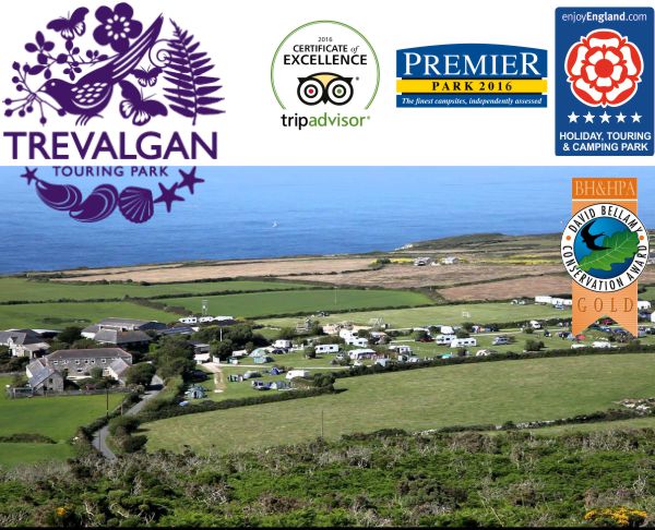 Trevalgan Touring Park 12470