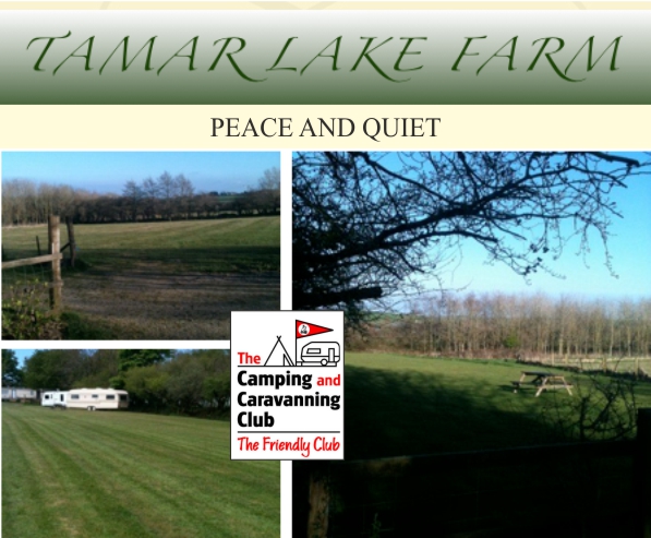 Tamar Lake Farm