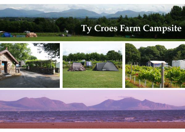 Ty Croes Farm Campsite 12508