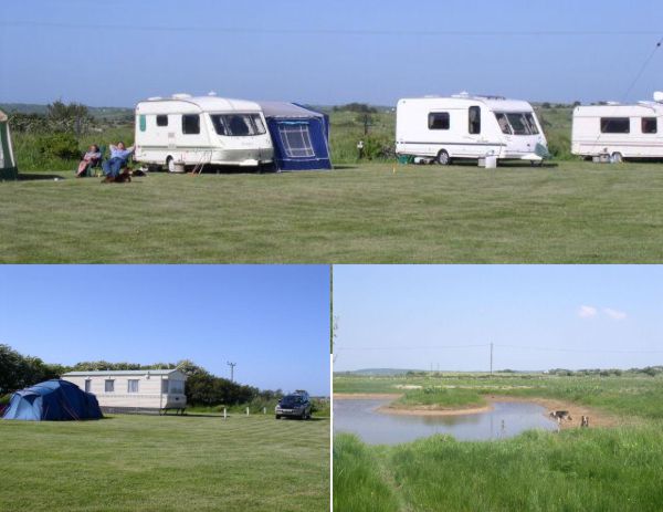 Tyn Llidiart Camping Site 12531