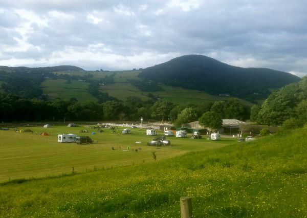Tyn Llidiart Camping Site 12534