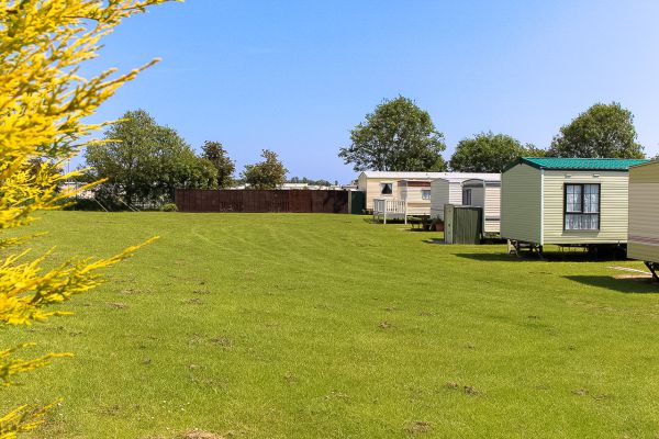 Walshs Caravan Park 12582