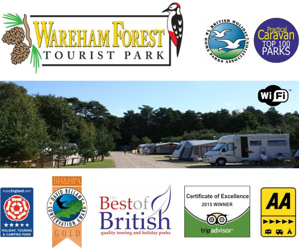 Wareham Forest Tourist Park 12593