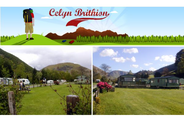 Celyn Brithion Caravan & Camping Site 12653