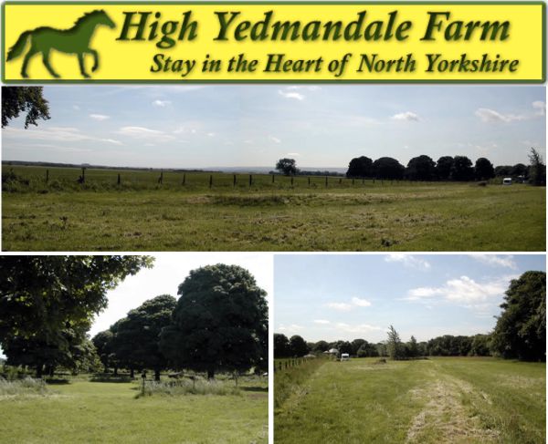 High Yedmandale Farm 12655