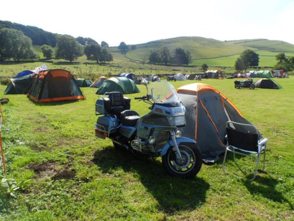 Waterloo Hotel Campsite 12665