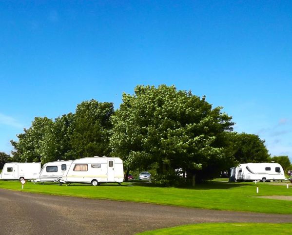 Wick Caravan and Camping Site 12823