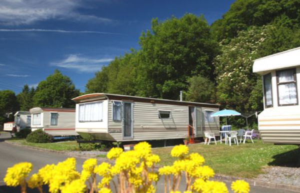 Wiseman's Bridge Inn & Caravan Park 12879